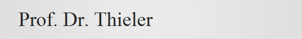Prof. Dr. Thieler